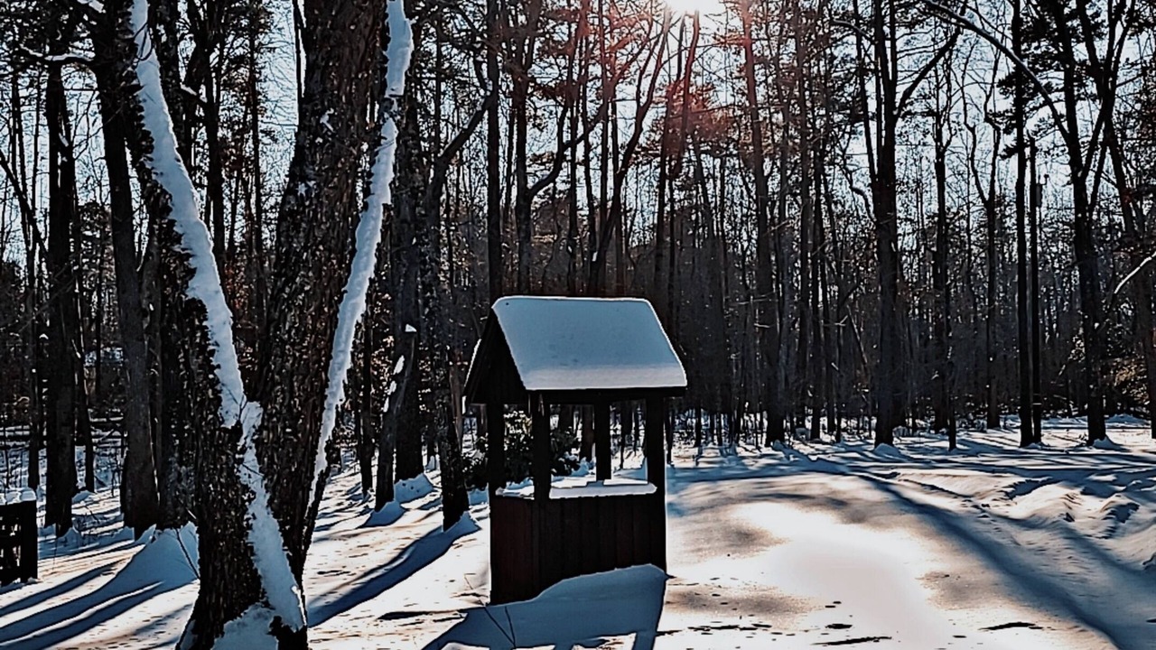 Photo of Others in McLeansville