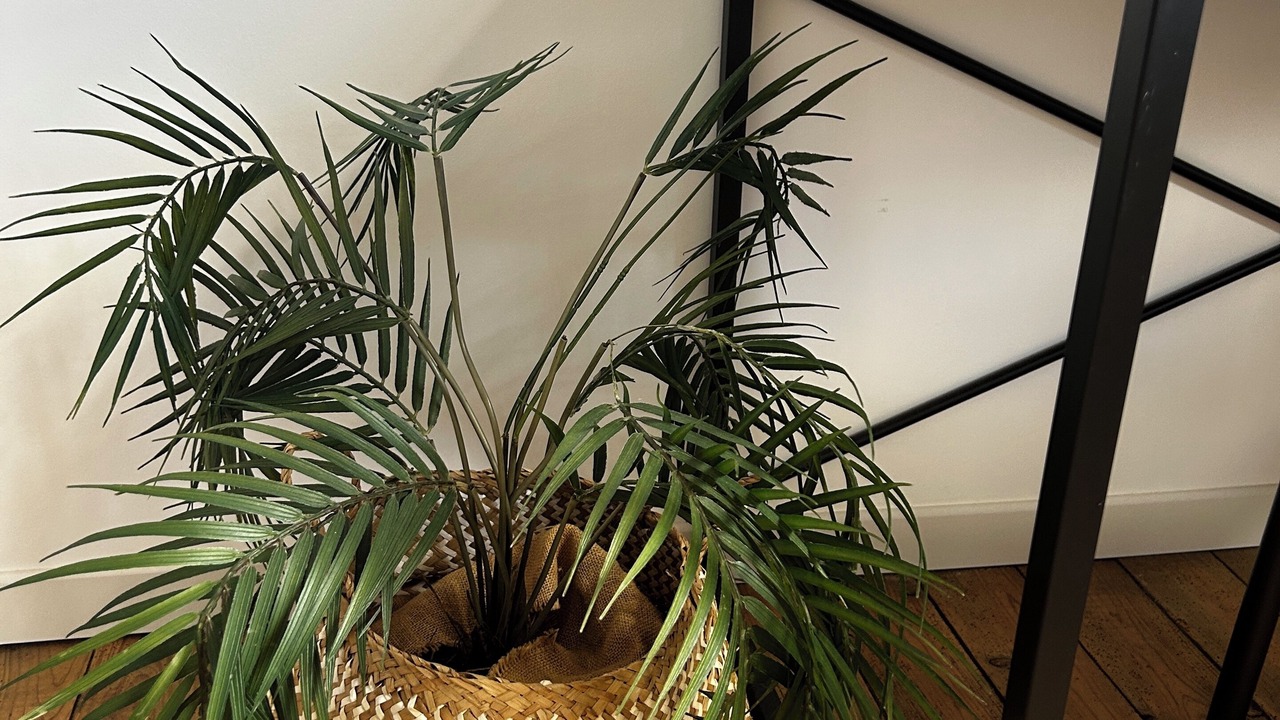 Photo of Others in Beaulieu-sur-Dordogne