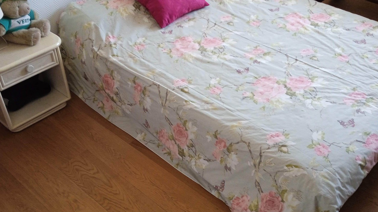 Photo of Bedroom in Charonne