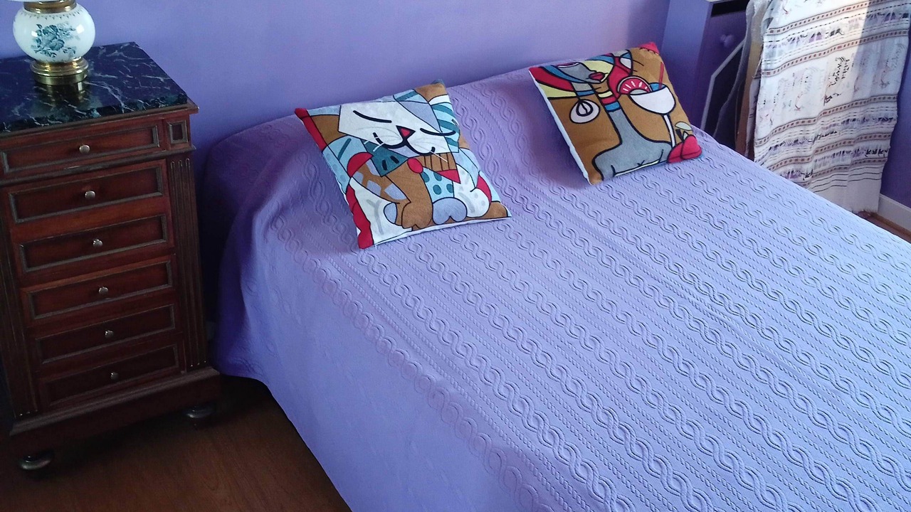 Photo of Bedroom in Charonne