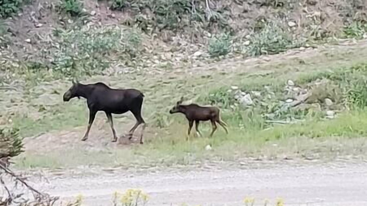 Photo of Outdoor in Tollgate Canyon