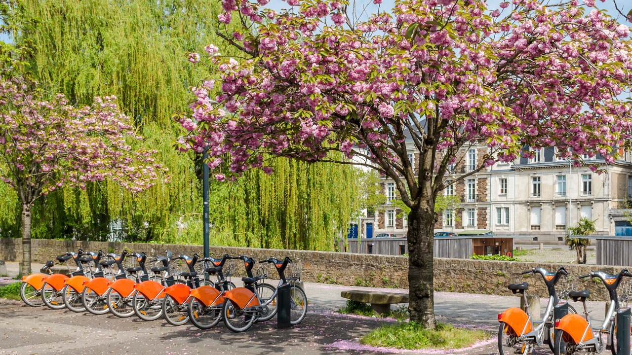 Photo of Outdoor in Mairie de Chantenay