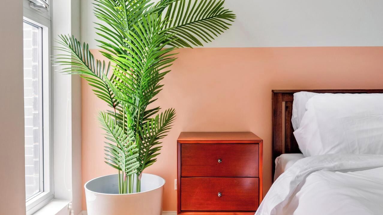 Photo of Bedroom in Near West Side