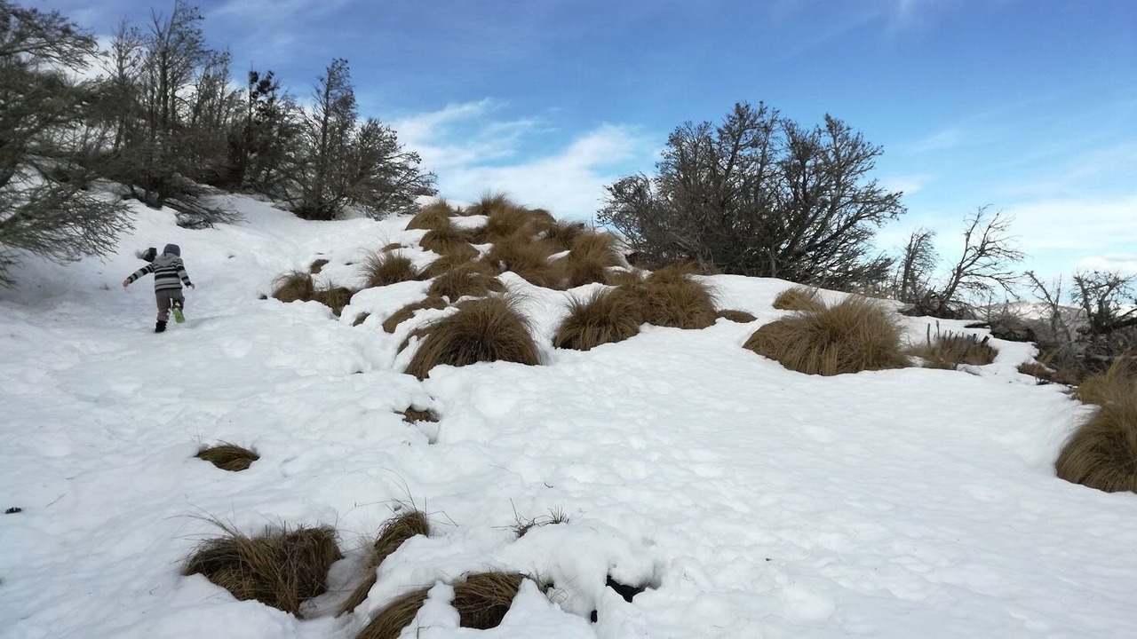Photo of Others in Castle Hill