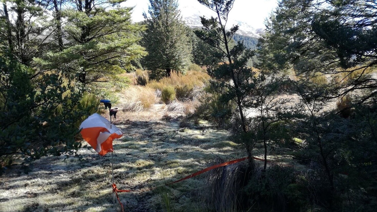 Photo of Bathroom in Castle Hill