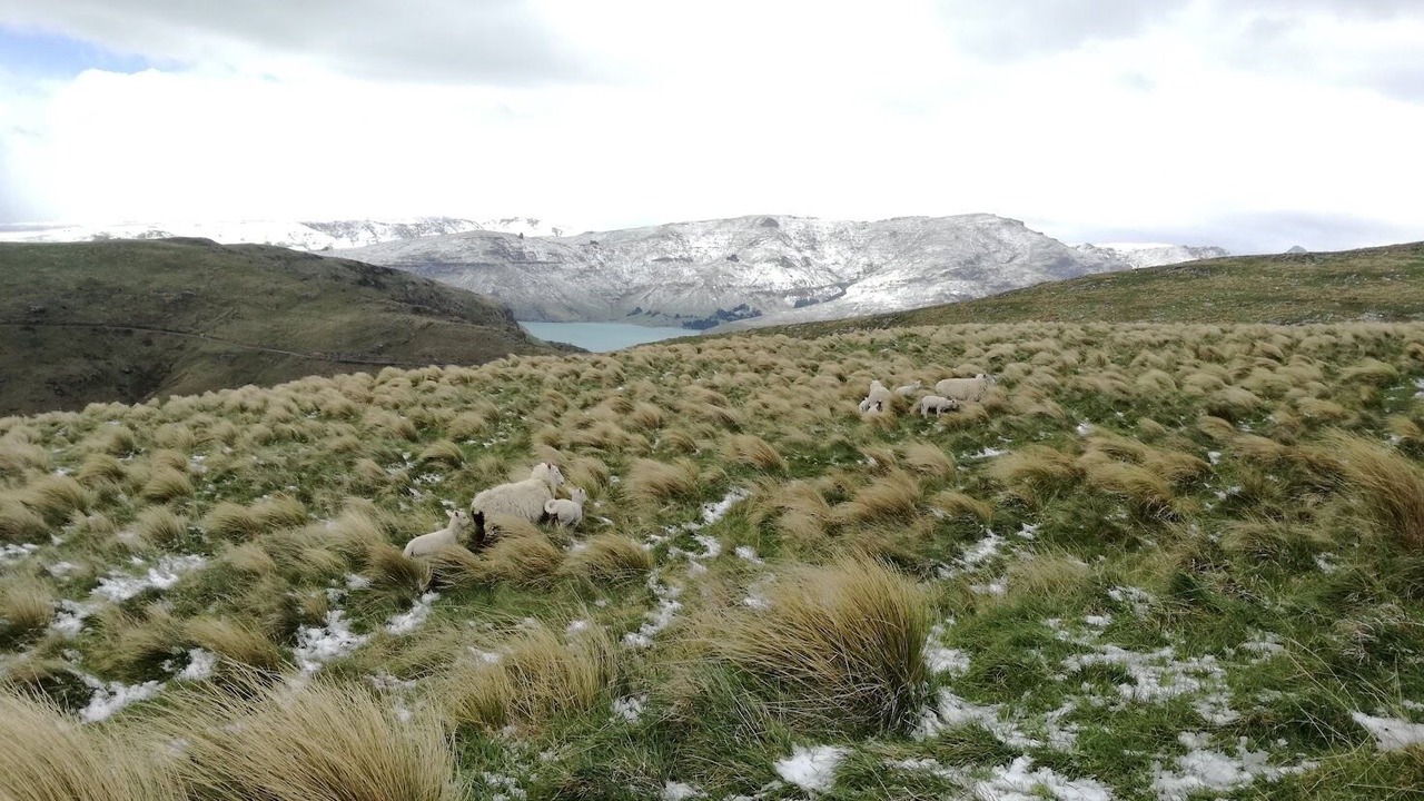 Photo of Others in Castle Hill