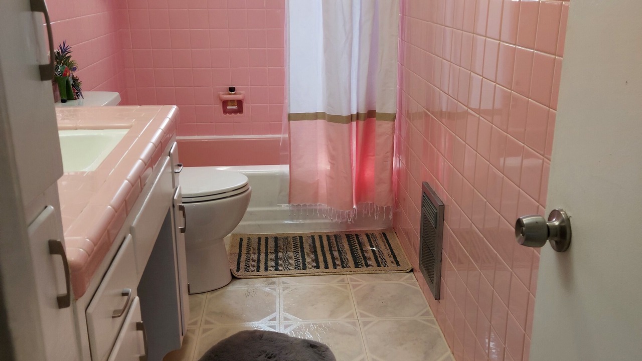 Photo of Bathroom in Elm Mott