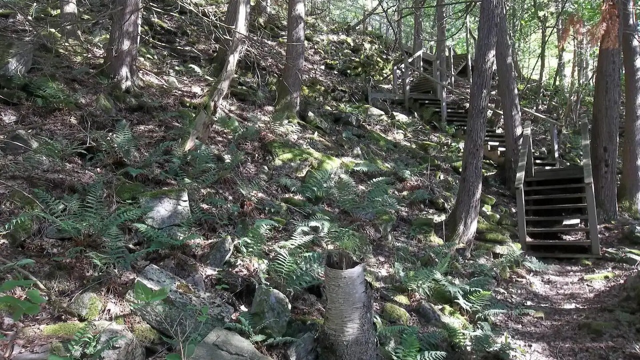 Photo of Outdoor in Frontenac