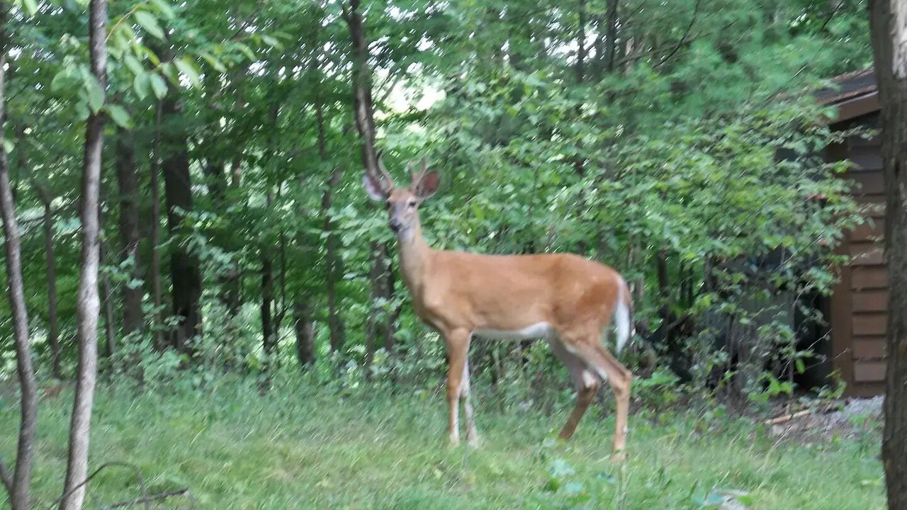Photo of Others in Frontenac
