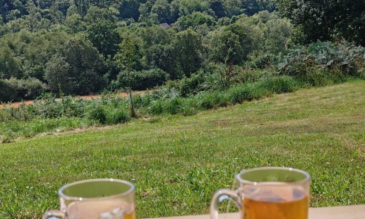 Photo of Others in Laniscat