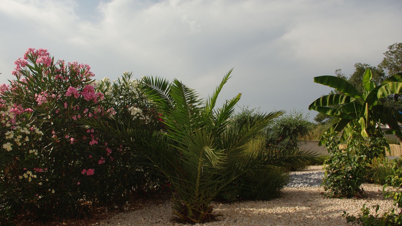 Photo of Outdoor in Servas