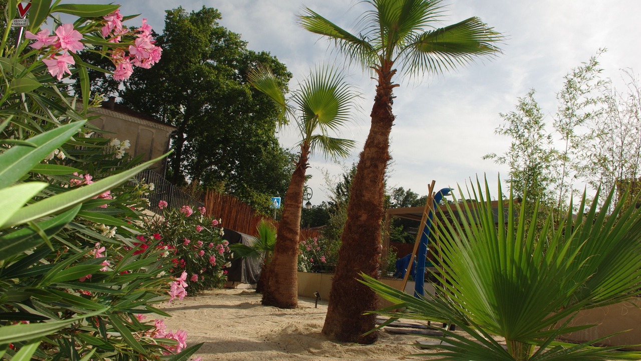 Photo of Others in Servas