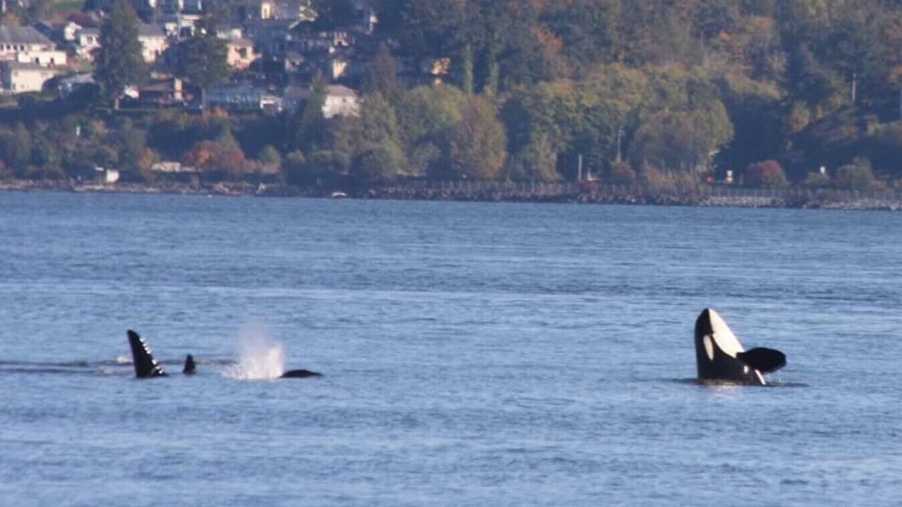 Photo of Others in Clinton