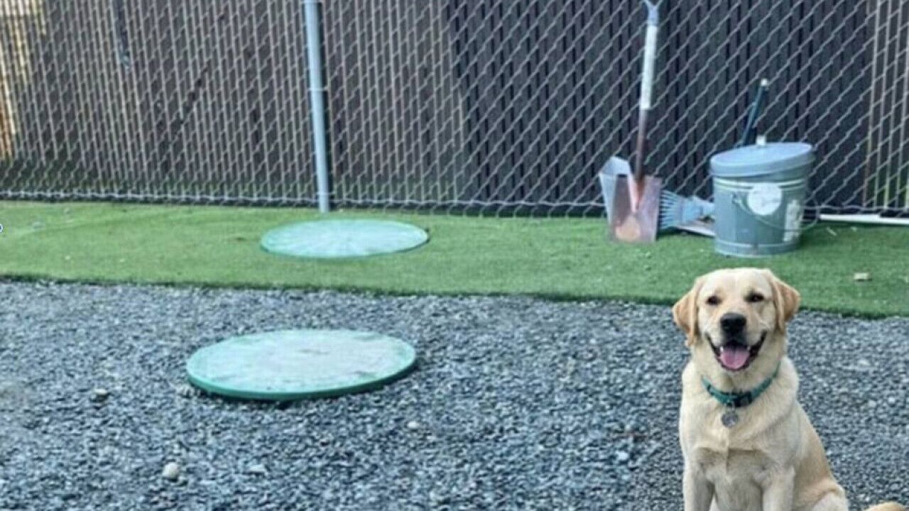 Photo of Others in Clinton