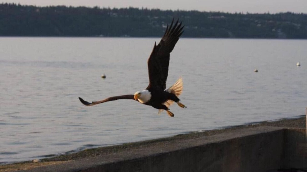 Photo of Others in Clinton