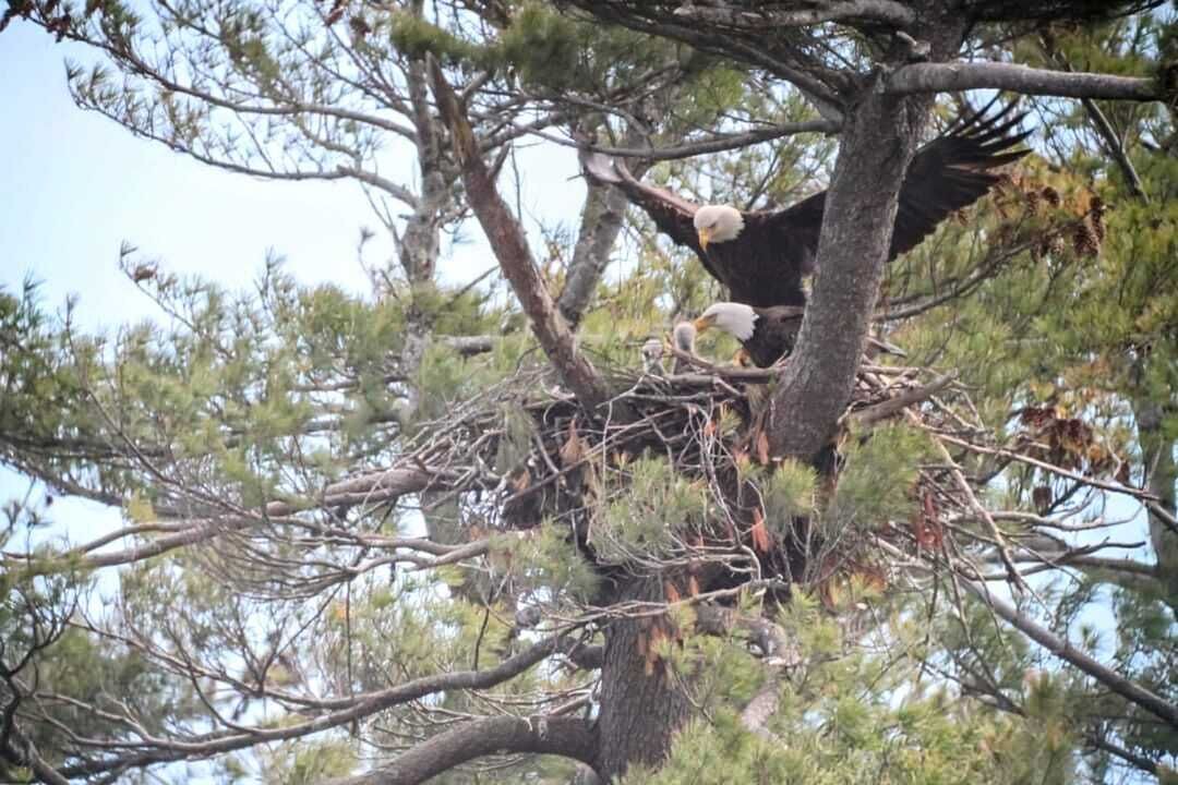 Photo of Outdoor in St. Stephen