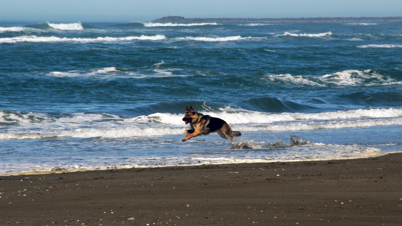 Photo of Others in Westport