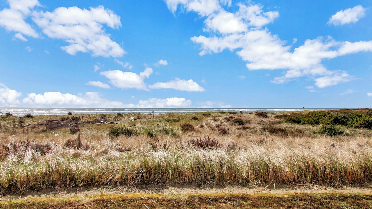 Photo of Others in Westport