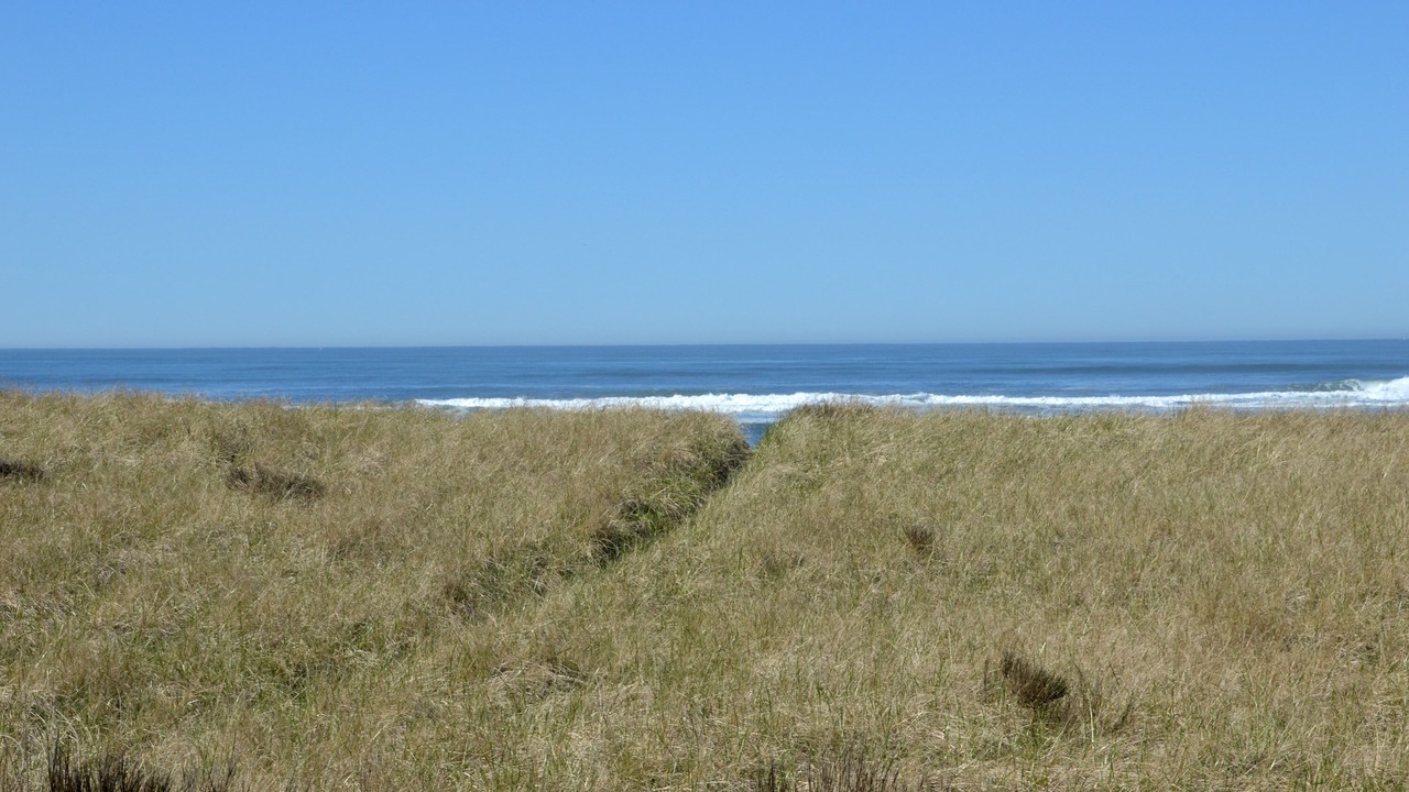 Photo of Others in Westport