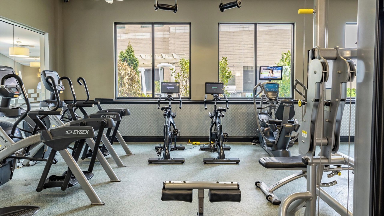 Photo of Others in White Plains