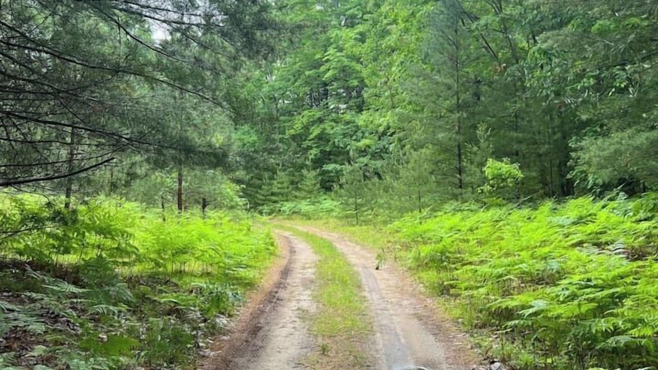 Photo of Outdoor in Luther