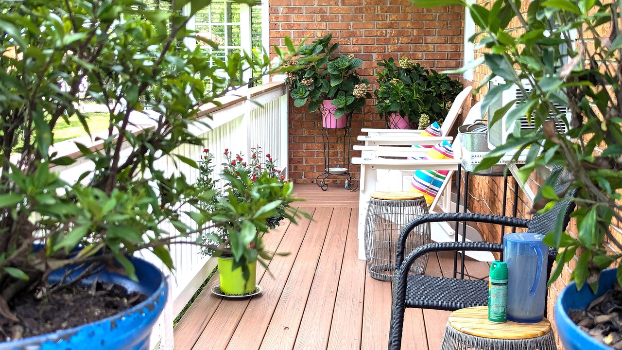 Photo of Outdoor in Stone Mountain