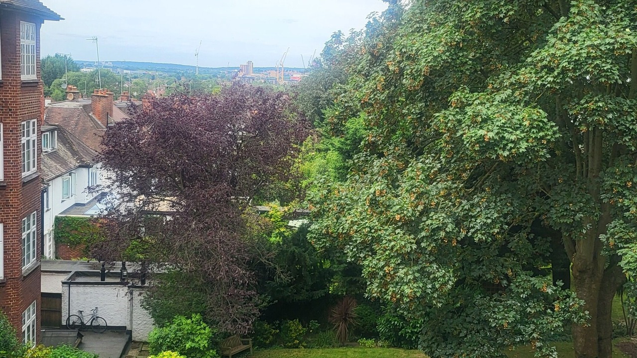 Photo of Outdoor in Frognal and Fitzjohns