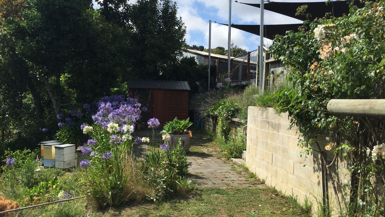 Photo of Outdoor in Havelock North