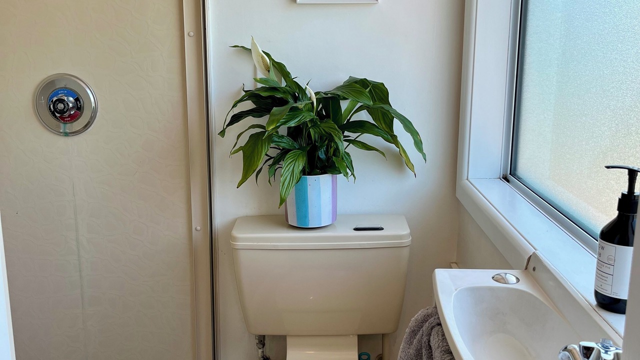 Photo of Bathroom in Havelock North