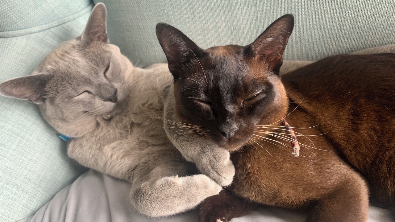 Photo of Others in Havelock North