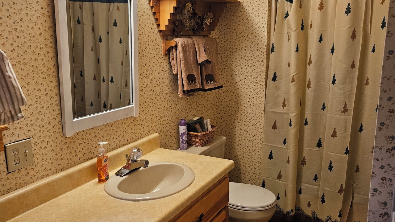 Photo of Bathroom in Topton