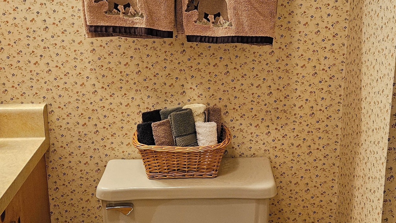 Photo of Bathroom in Topton