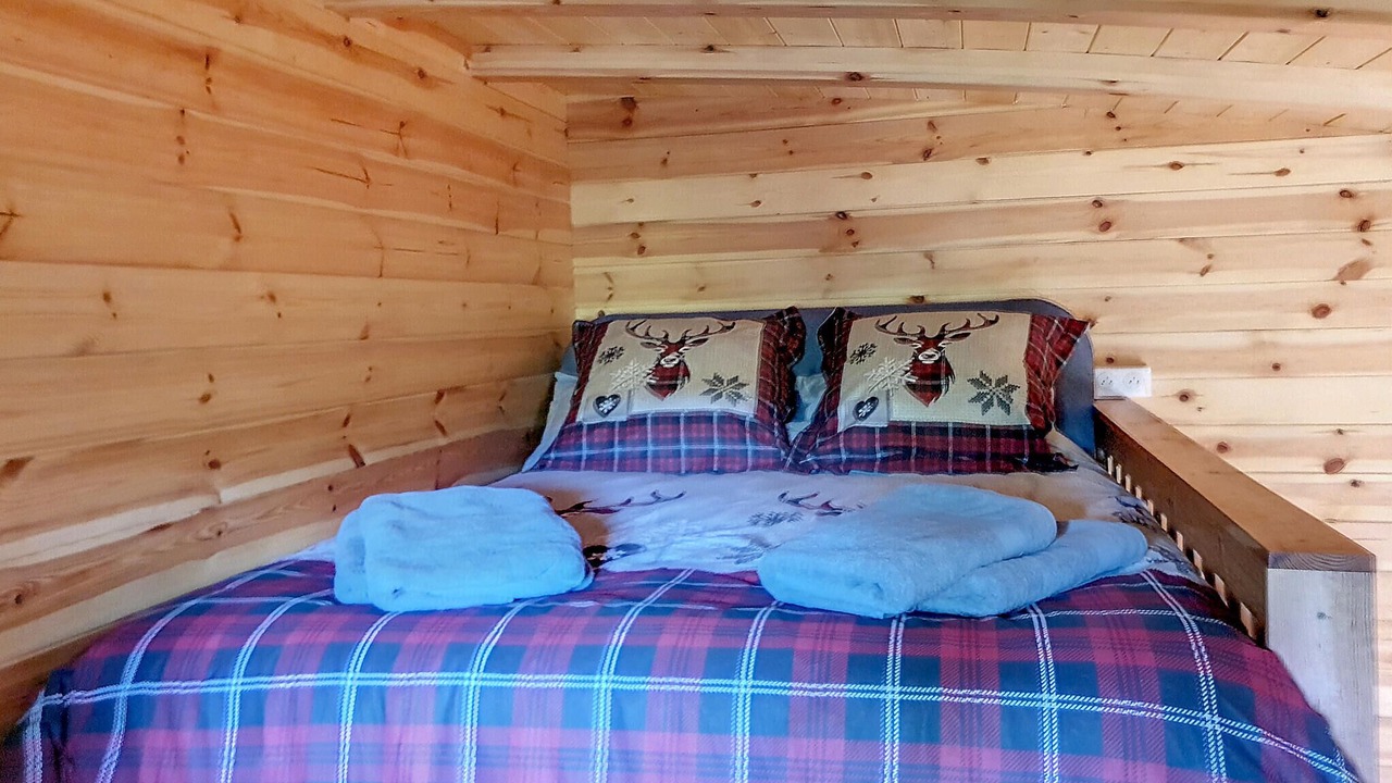 Photo of Others in La Garde-Freinet