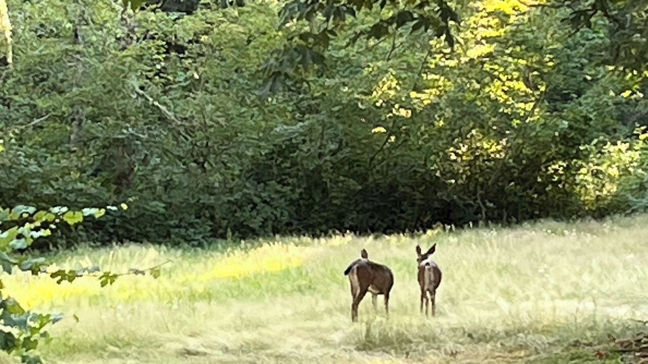 Photo of Outdoor in Union Hill-Novelty Hill