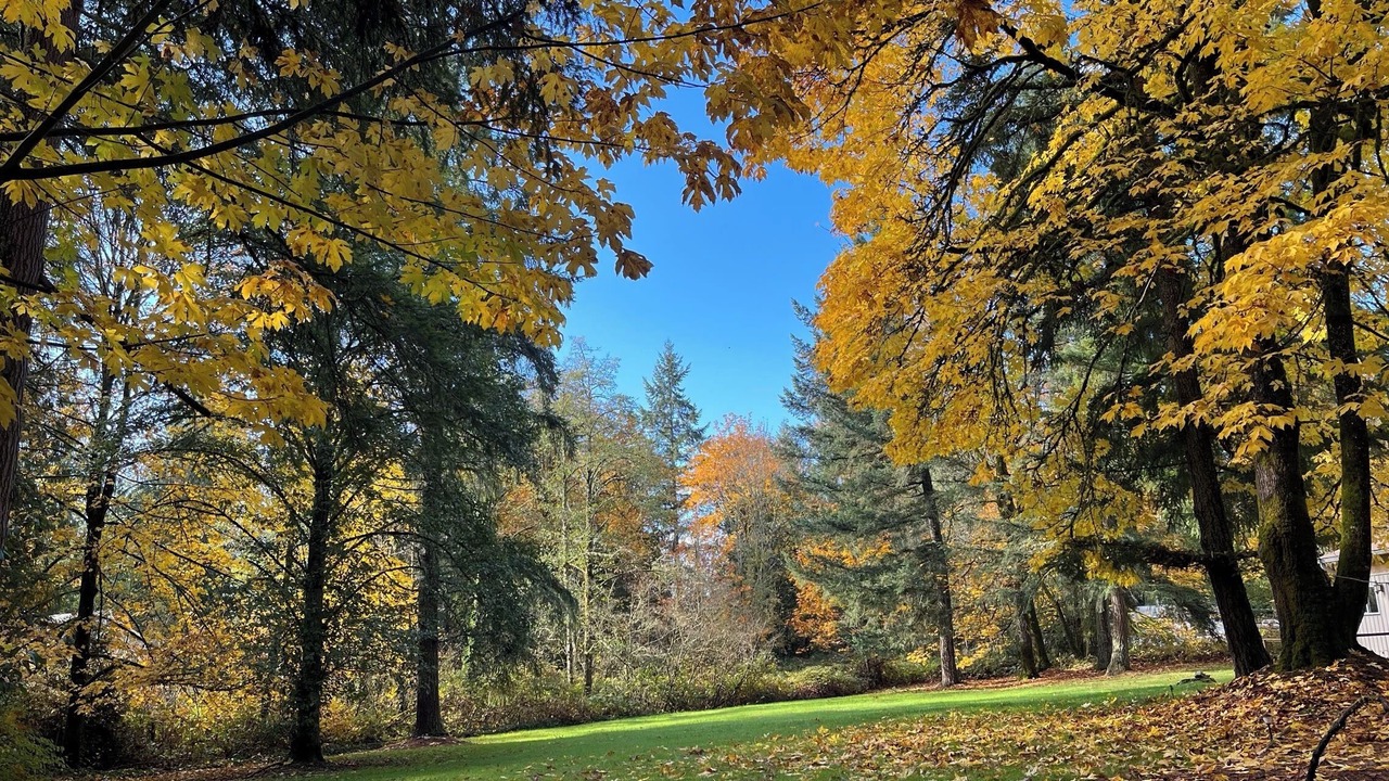 Photo of Outdoor in Union Hill-Novelty Hill