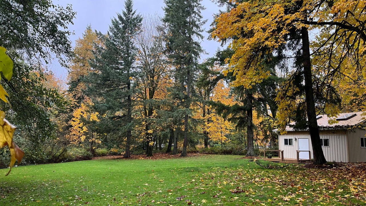 Photo of Outdoor in Union Hill-Novelty Hill