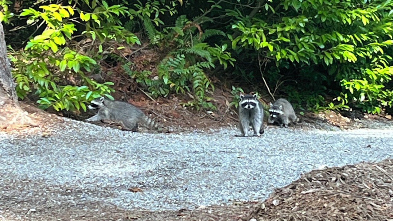 Photo of Outdoor in Union Hill-Novelty Hill