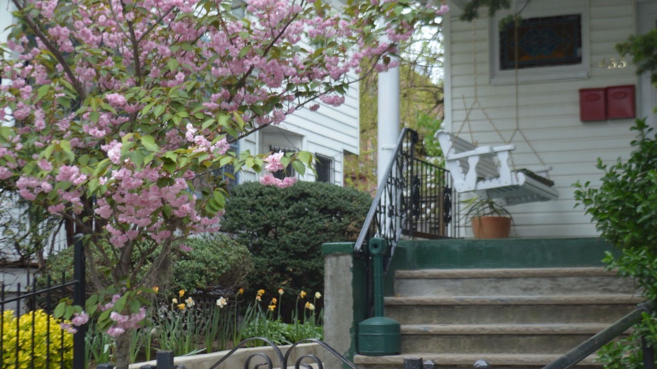 Photo of Outdoor in Brooklyn