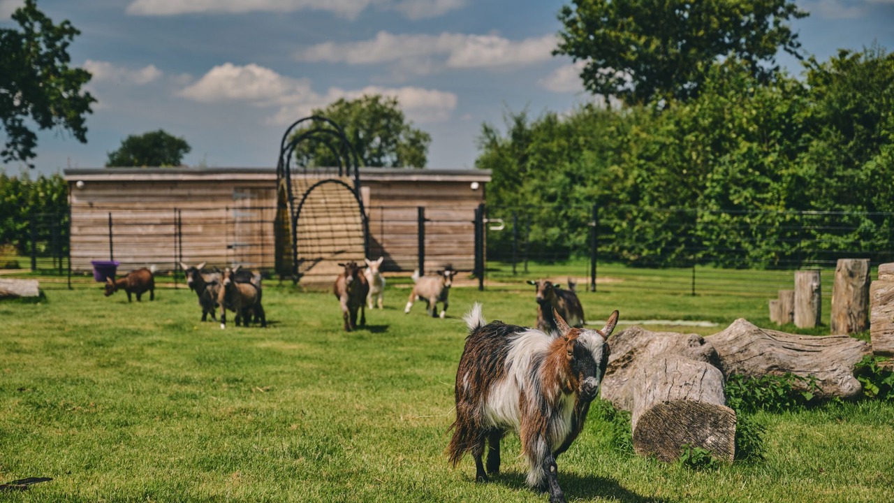 Photo of Others in East Horrington