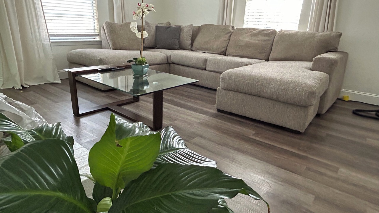 Photo of Livingroom in South Arlington