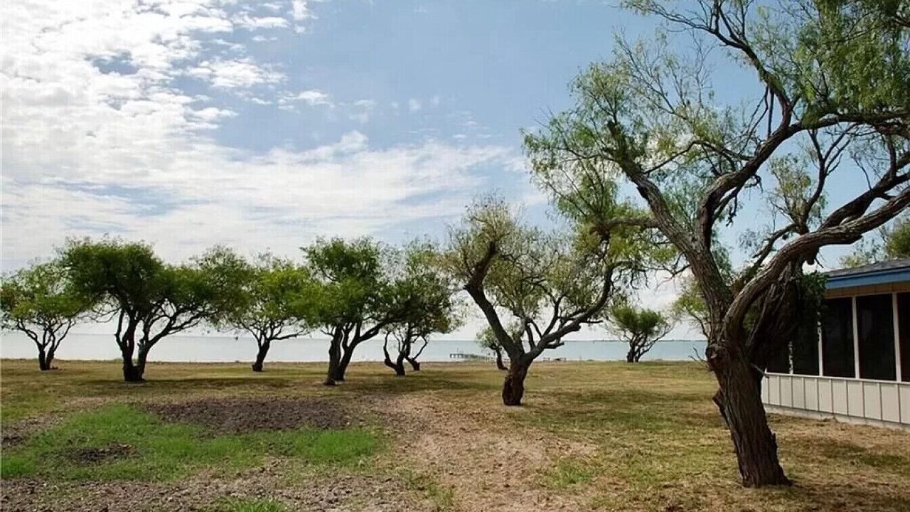 Photo of Outdoor in Bayside
