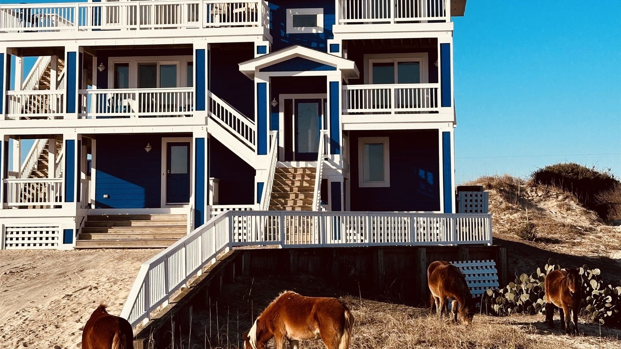 Photo of Others in Corolla