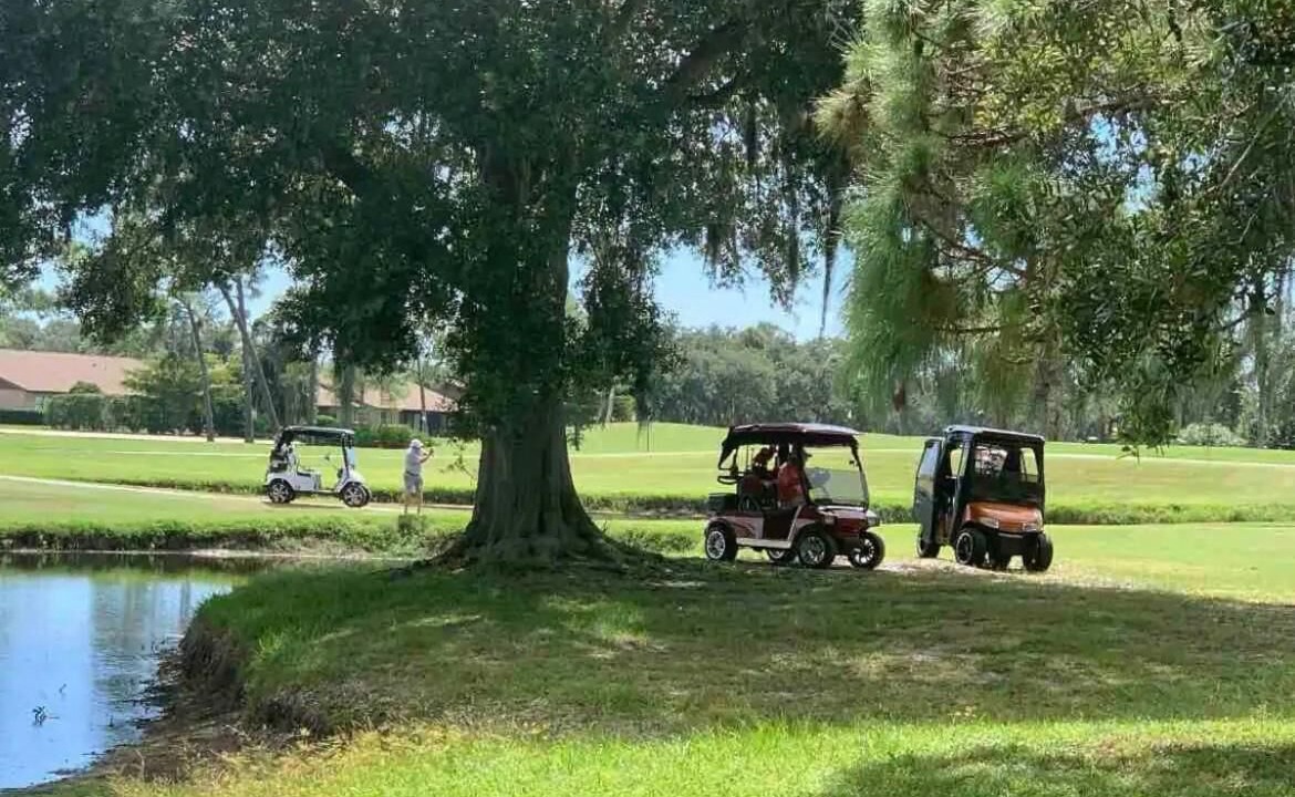 Photo of Others in Braden River