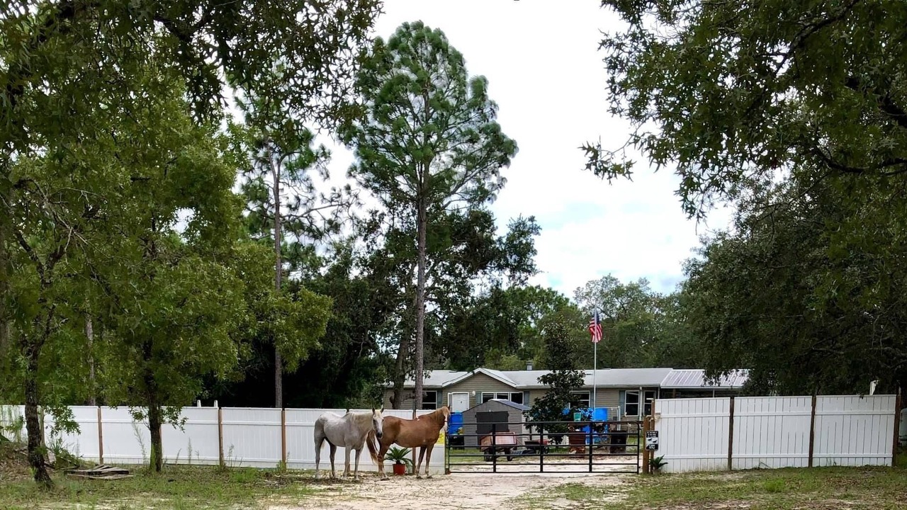 Photo of Outdoor in Homosassa