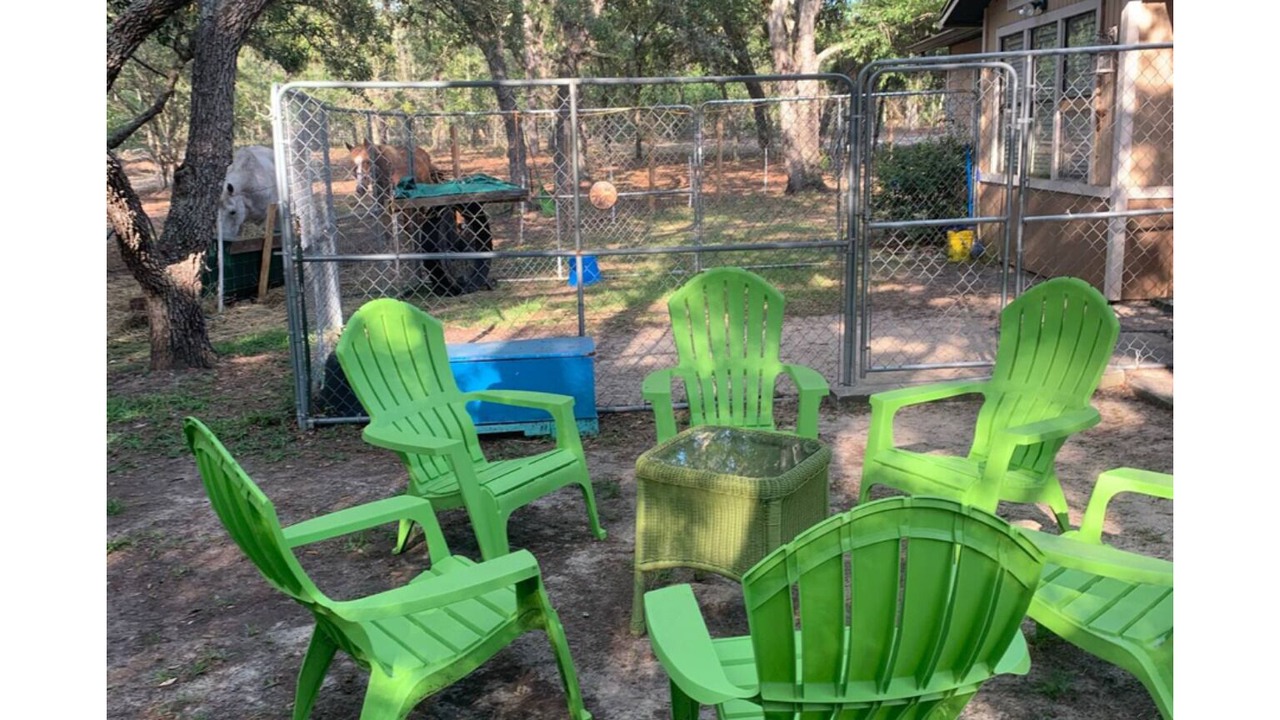 Photo of Outdoor in Homosassa