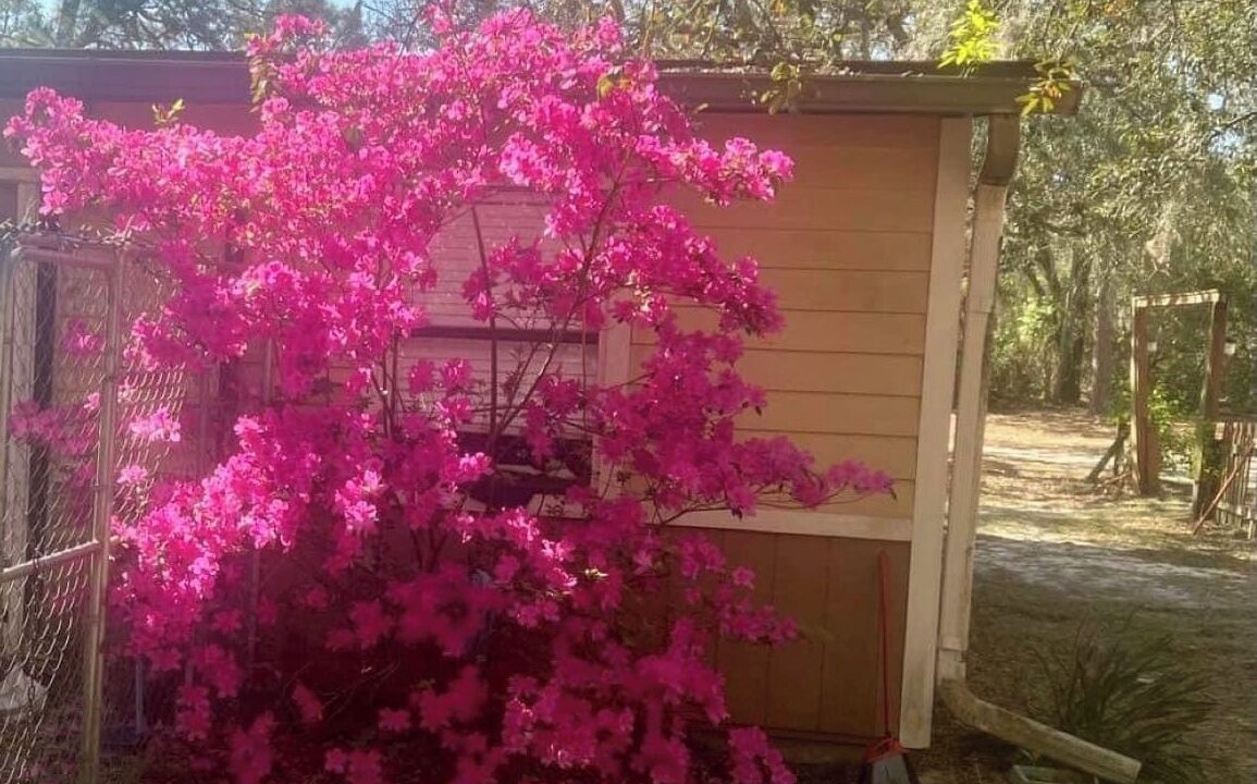Photo of Outdoor in Homosassa