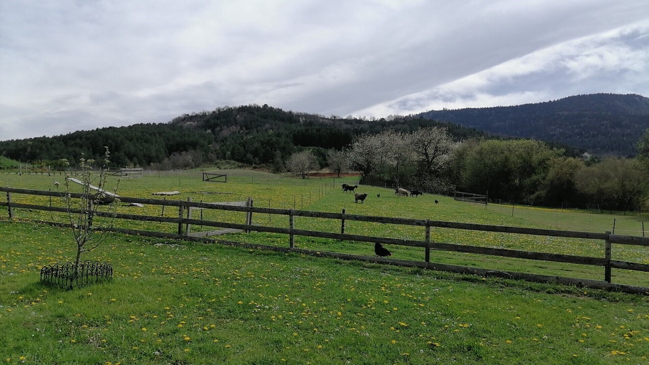 Photo of Outdoor in Puivert