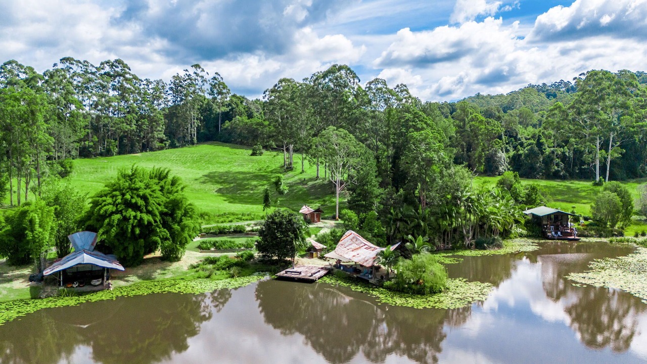 Photo of Others in Lillian Rock