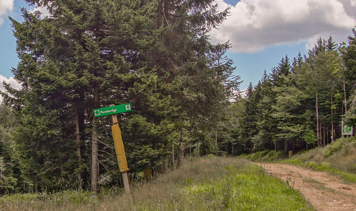 Photo of Outdoor in Edray