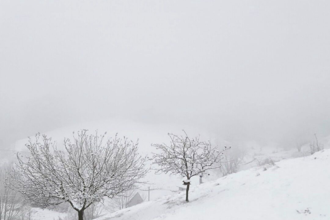 Photo of Others in Saint-Pierre-de-Chartreuse